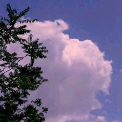 洛奇英雄传永恒修改版下载